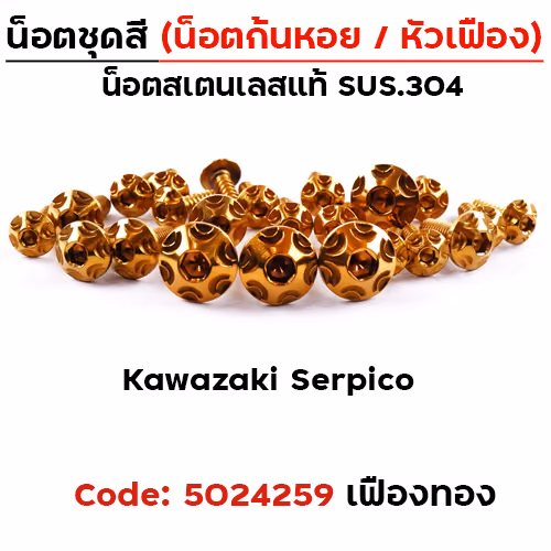 น็อตชุดสี Serpico - หัวเฟือง - ทอง (29ตัว)