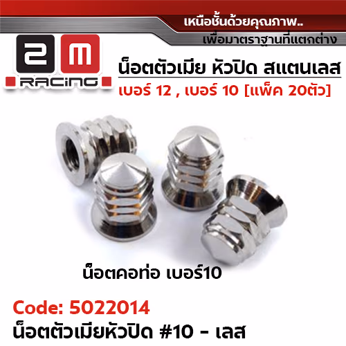 ตัวเมียเบอร์ 10 หัวปิด (เจดี) - เลส
