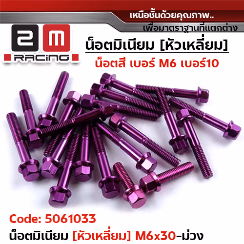 น็อตมิเนียม หัวเหลี่ยม 6*30 - ม่วงแข้ม