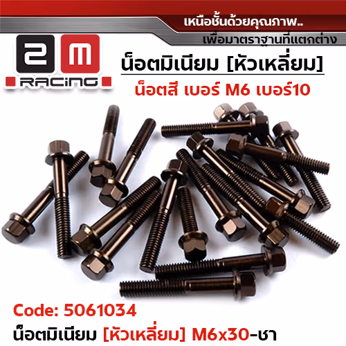 น็อตมิเนียม หัวเหลี่ยม 6*30 - ชา