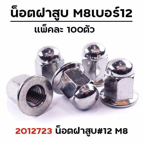 น็อตฝาสูบ หัวหมวก #12 M8 (ตัวเมียเหล็ก) แพ็คละ 100ตัว