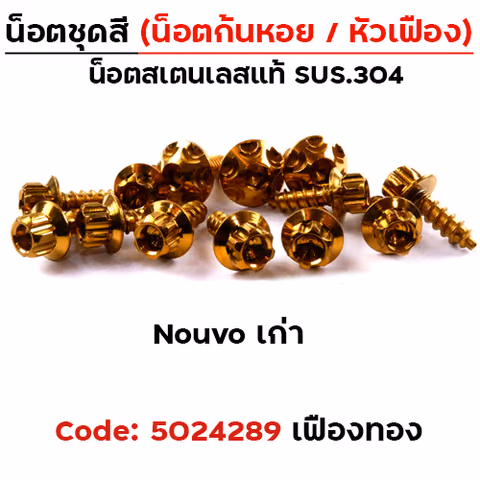 น็อตชุดสี NOUVO เก่า - หัวเฟือง ทอง (22ตัว) — 
