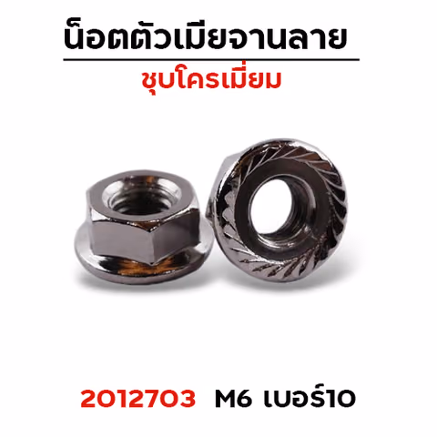 ตัวเมีย (เหล็ก)จานลาย #10 (M6) 100ตัว — 