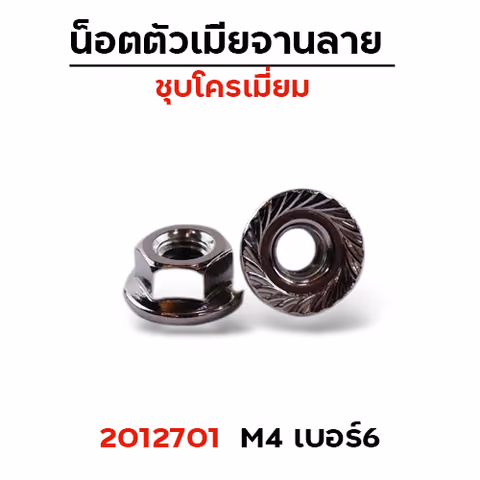 ตัวเมีย (เหล็ก)จานลาย #6 (M4) 100ตัว — 