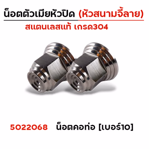 ตัวเมีย หัวปิดเบอร์10  (หัวสนามจี้เส้น) - เลส (แพ็ค 20 ตัว) — 
