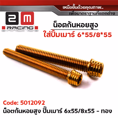 น็อตก้นหอยสูง - ปั๊มเม้า (6*55 /8*55) - ทอง — 