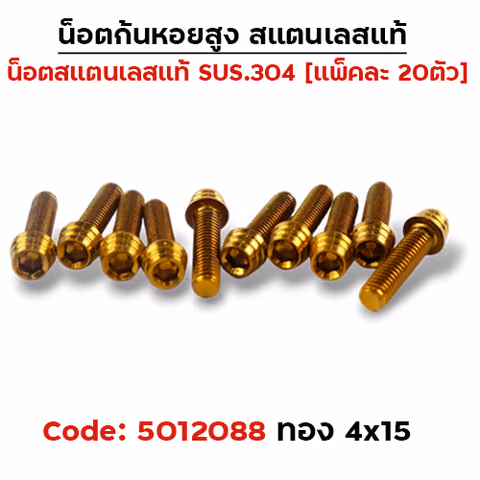น็อตก้นหอยสูง 4*15 ทอง (แพ็ค 20ตัว) — 