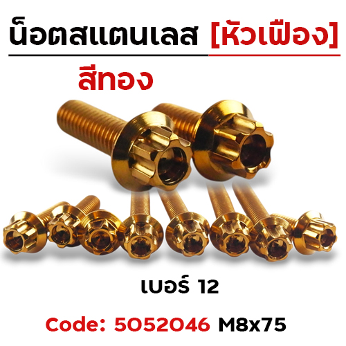 น็อตหัวเฟืองทอง 8*75 [แพ็ค 20ตัว]