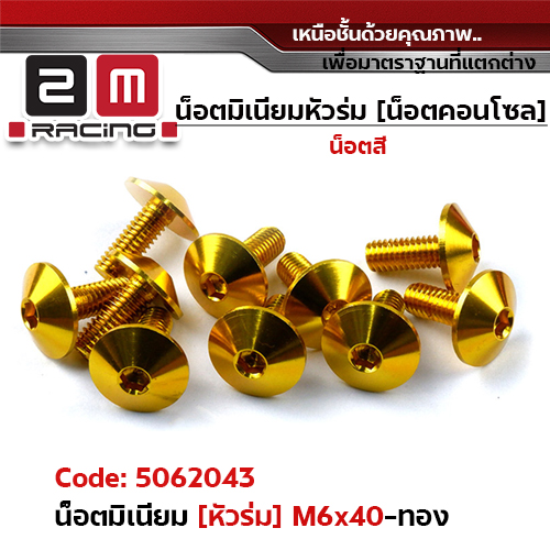 น็อตมิเนียม หัวร่ม 6*40 - ทอง