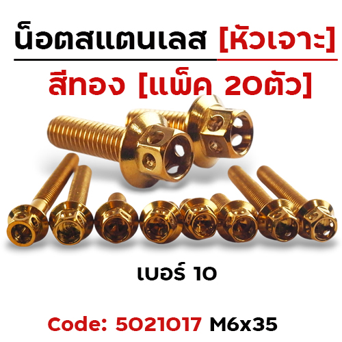 น็อตทองหัวเจาะ 6*35 [แพ็ค 20ตัว]
