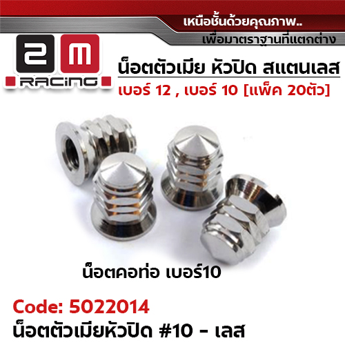 ตัวเมียเบอร์ 10 หัวปิด (เจดี) - เลส