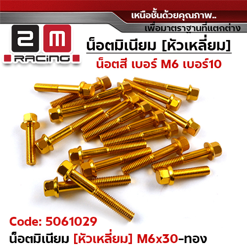 น็อตมิเนียม หัวเหลี่ยม 6*30 - ทอง