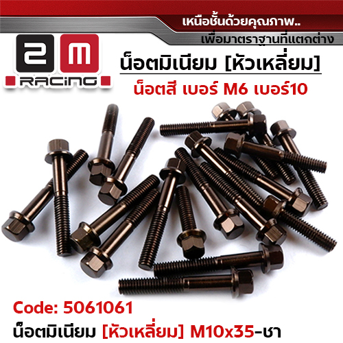 น็อตมิเนียม หัวเหลี่ยม 10*35 - ชา