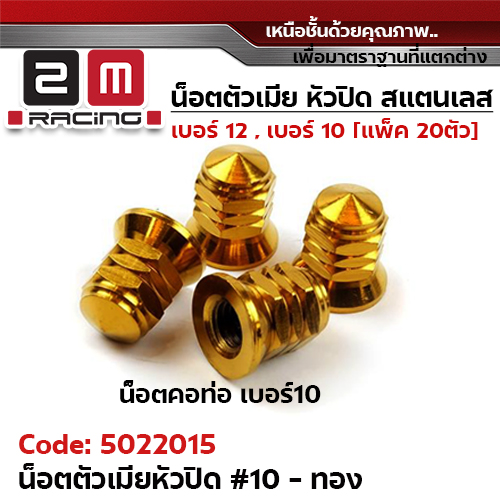 ตัวเมียเบอร์ 10 หัวปิด (เจดี) - ทอง