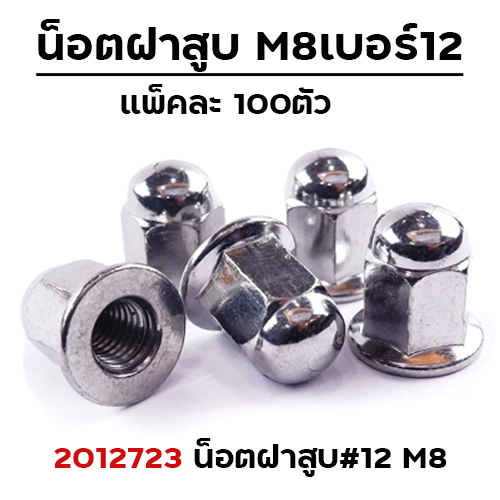 น็อตฝาสูบ หัวหมวก #12 M8 (ตัวเมียเหล็ก) แพ็คละ 100ตัว