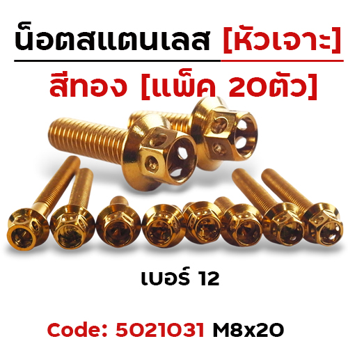 น็อตทองหัวเจาะ 8*20 [แพ็ค 20ตัว]