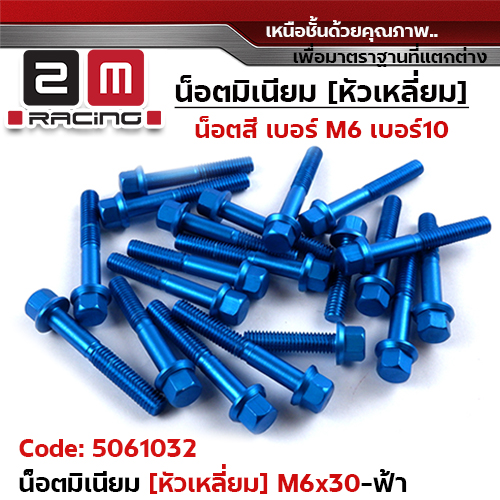 น็อตมิเนียม หัวเหลี่ยม 6*30 - ฟ้า