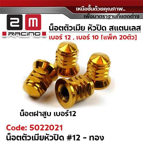 ตัวเมียเบอร์ 12 หัวปิด (เจดี) - ทอง